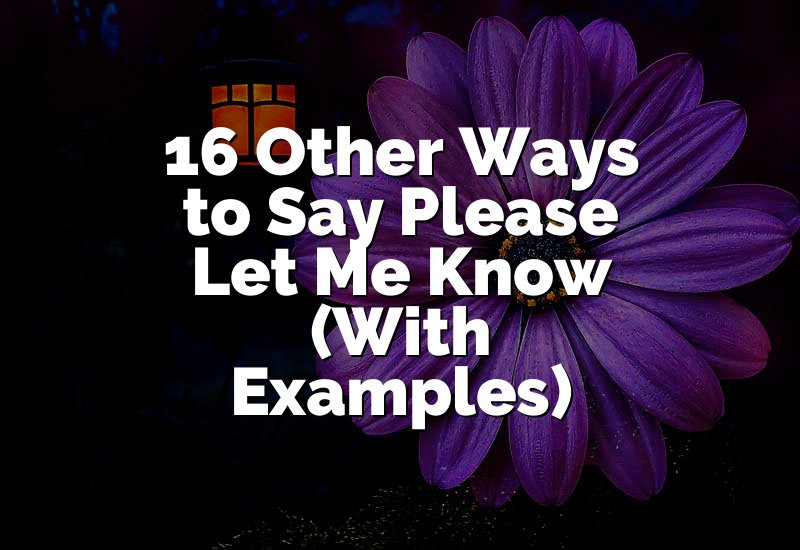 16 Other Ways to Say Please Let Me Know (With Examples)