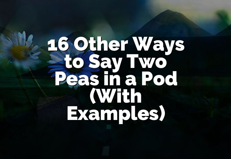 16 Other Ways to Say Two Peas in a Pod (With Examples)