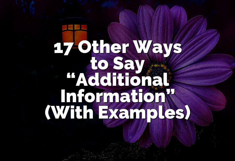 17 Other Ways to Say “Additional Information” (With Examples)