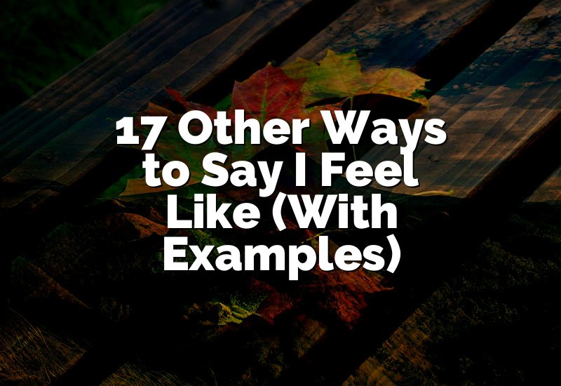 17 Other Ways to Say I Feel Like (With Examples)