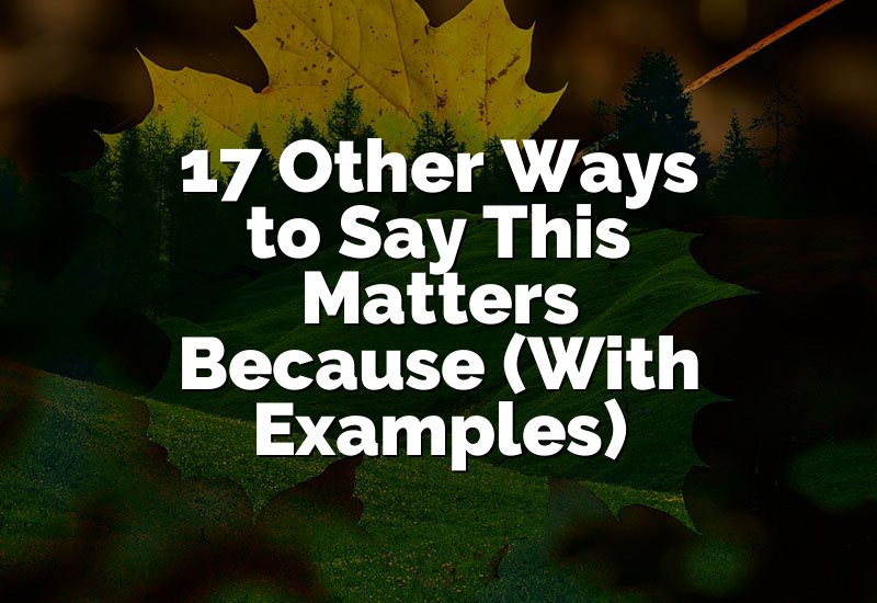 17 Other Ways to Say This Matters Because (With Examples)