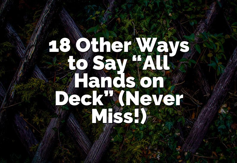 18 Other Ways to Say “All Hands on Deck” (Never Miss!)