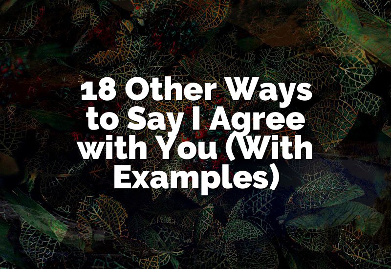 18 Other Ways to Say I Agree with You (With Examples)