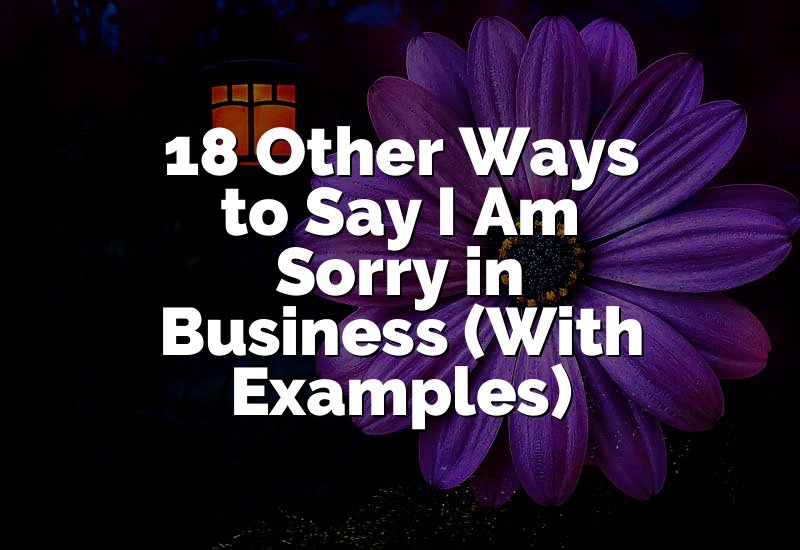 18 Other Ways to Say I Am Sorry in Business (With Examples)
