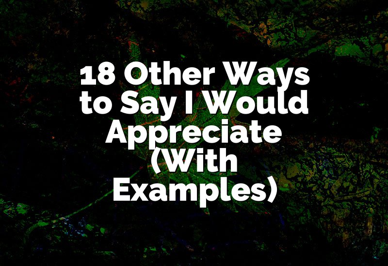 18 Other Ways to Say I Would Appreciate (With Examples)