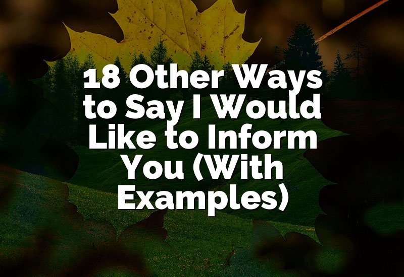 18 Other Ways to Say I Would Like to Inform You (With Examples)