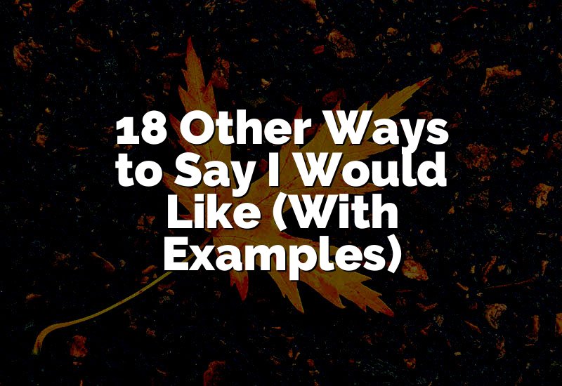 18 Other Ways to Say I Would Like (With Examples)
