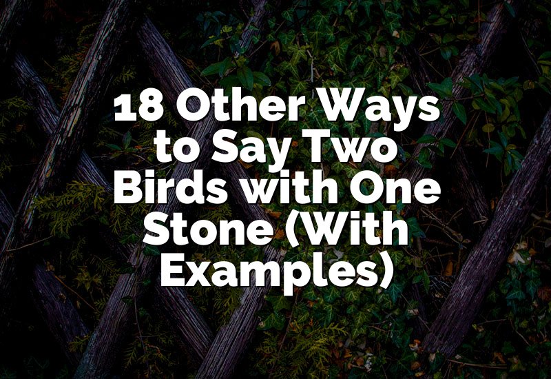 18 Other Ways to Say Two Birds with One Stone (With Examples)