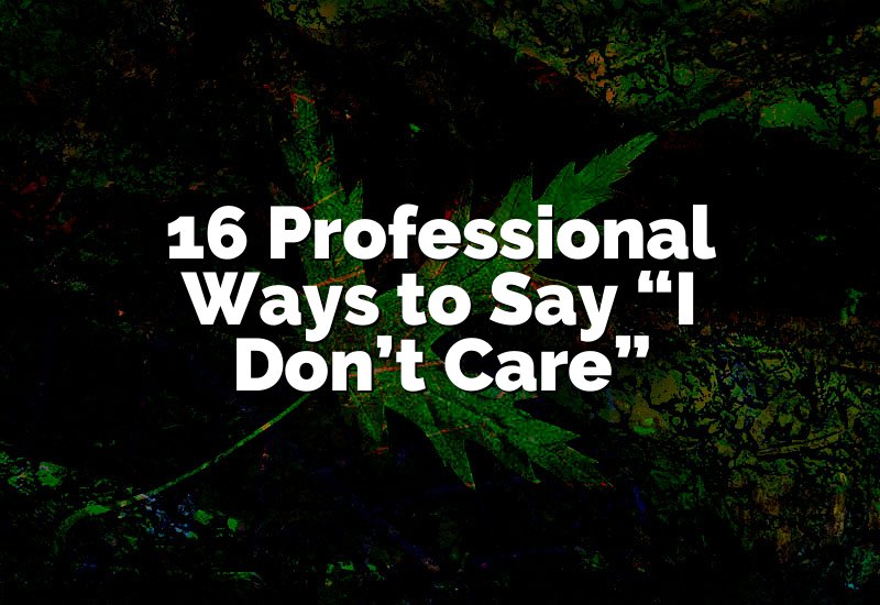 16 Professional Ways to Say “I Don’t Care”