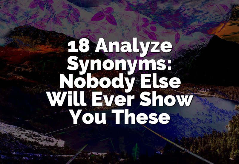 18 Analyze Synonyms: Nobody Else Will Ever Show You These