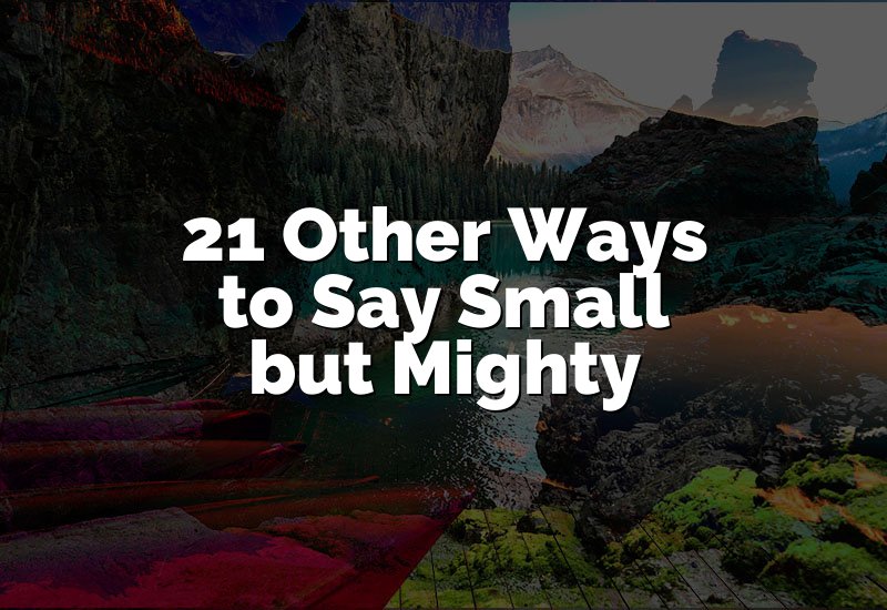 21 Other Ways to Say Small but Mighty