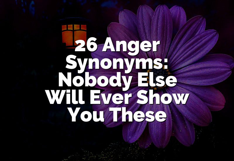 26 Anger Synonyms: Nobody Else Will Ever Show You These