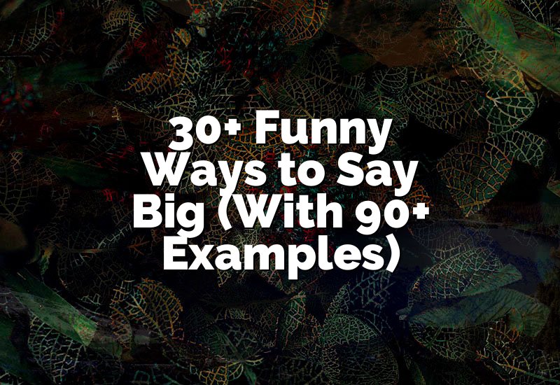 30+ Funny Ways to Say Big (With 90+ Examples)