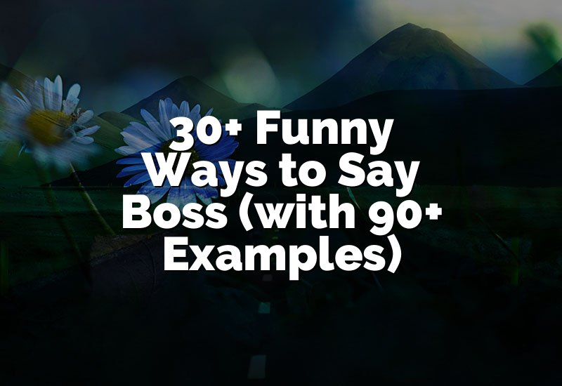 30+ Funny Ways to Say Boss (with 90+ Examples)