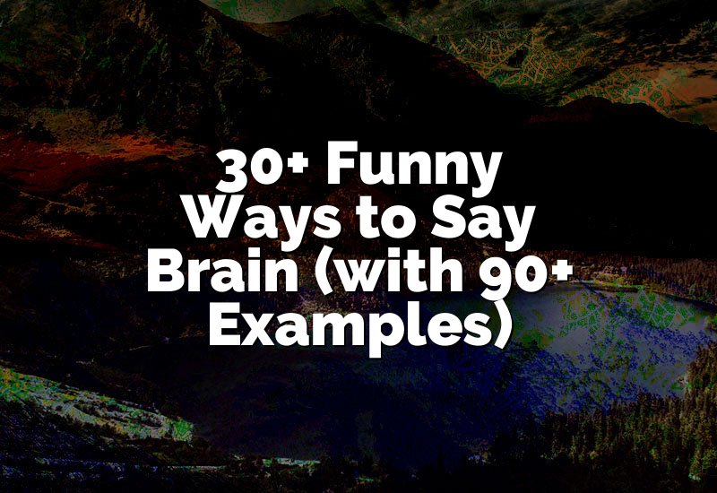 30+ Funny Ways to Say Brain (with 90+ Examples)