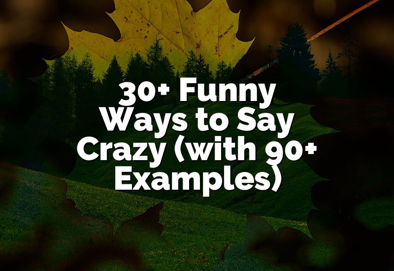 30+ Funny Ways to Say Crazy (with 90+ Examples)