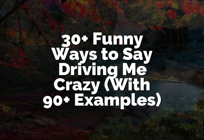 30+ Funny Ways to Say Driving Me Crazy (With 90+ Examples)
