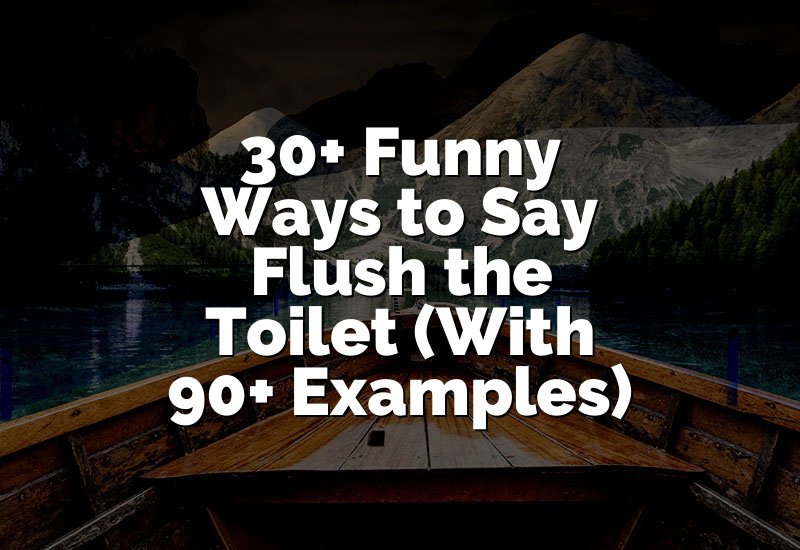 30+ Funny Ways to Say Flush the Toilet (With 90+ Examples)