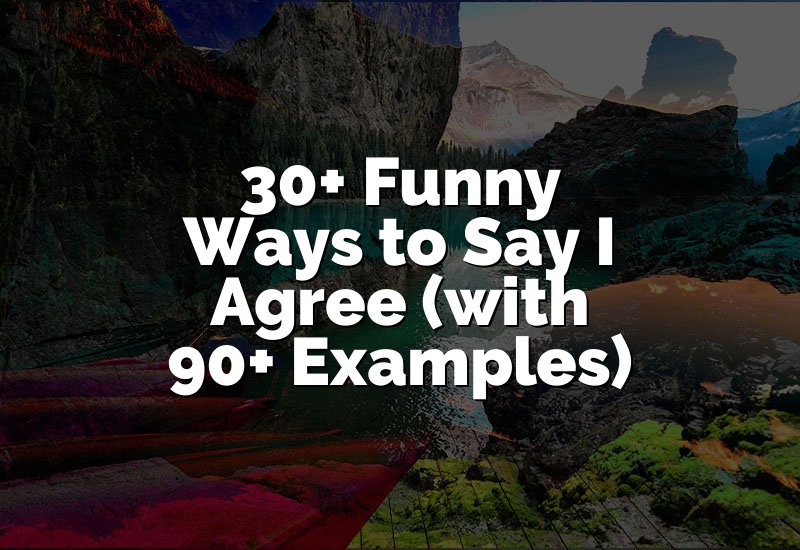 30+ Funny Ways to Say I Agree (with 90+ Examples)