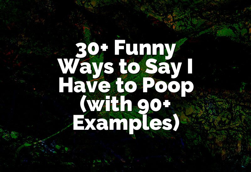 30+ Funny Ways to Say I Have to Poop (with 90+ Examples)