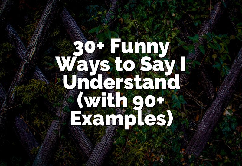 30+ Funny Ways to Say I Understand (with 90+ Examples)