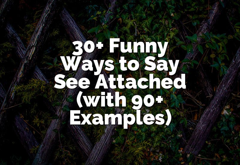 30+ Funny Ways to Say See Attached (with 90+ Examples)