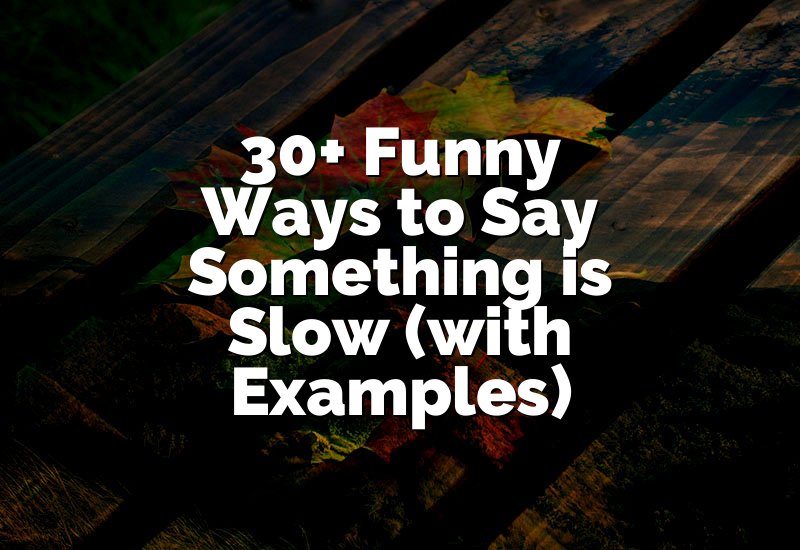 30+ Funny Ways to Say Something is Slow (with Examples)