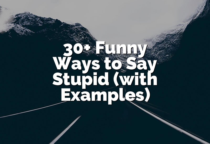30+ Funny Ways to Say Stupid (with Examples)