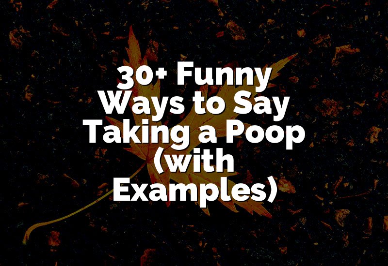 30+ Funny Ways to Say Taking a Poop (with Examples)