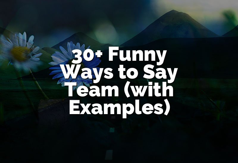30+ Funny Ways to Say Team (with Examples)