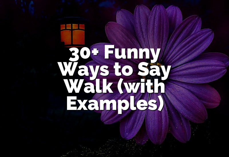 30+ Funny Ways to Say Walk (with Examples)