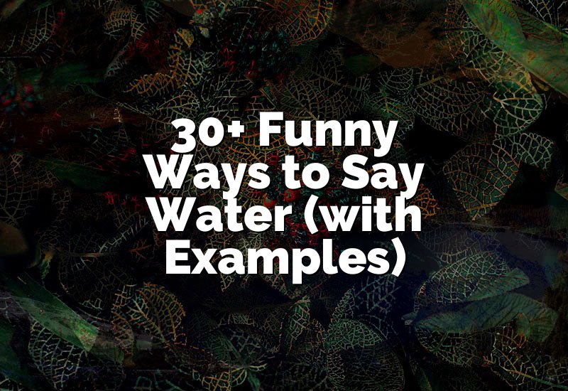30+ Funny Ways to Say Water (with Examples)