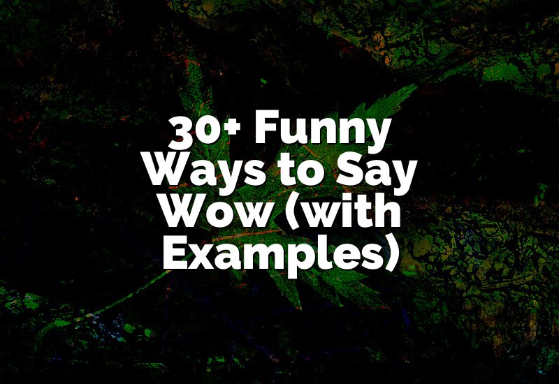 30+ Funny Ways to Say Wow (with Examples)
