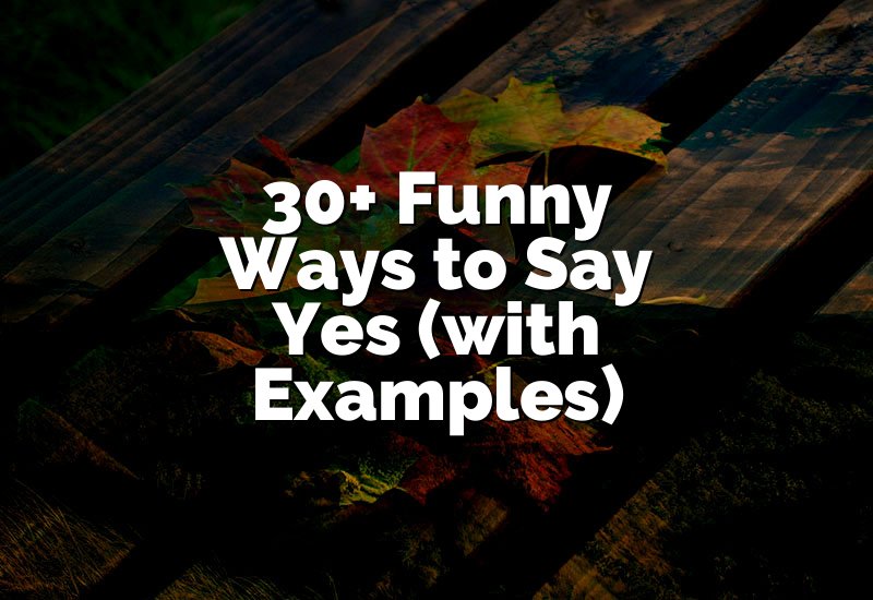 30+ Funny Ways to Say Yes (with Examples)