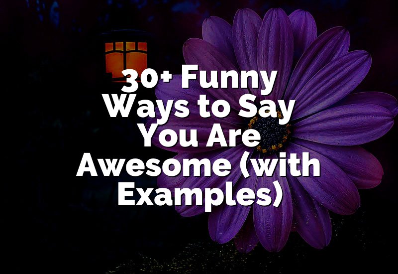 30+ Funny Ways to Say You Are Awesome (with Examples)