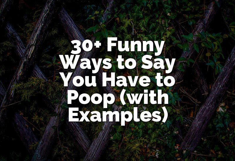 30+ Funny Ways to Say You Have to Poop (with Examples)