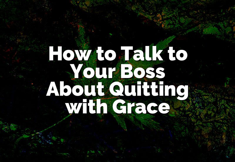 How to Talk to Your Boss About Quitting with Grace
