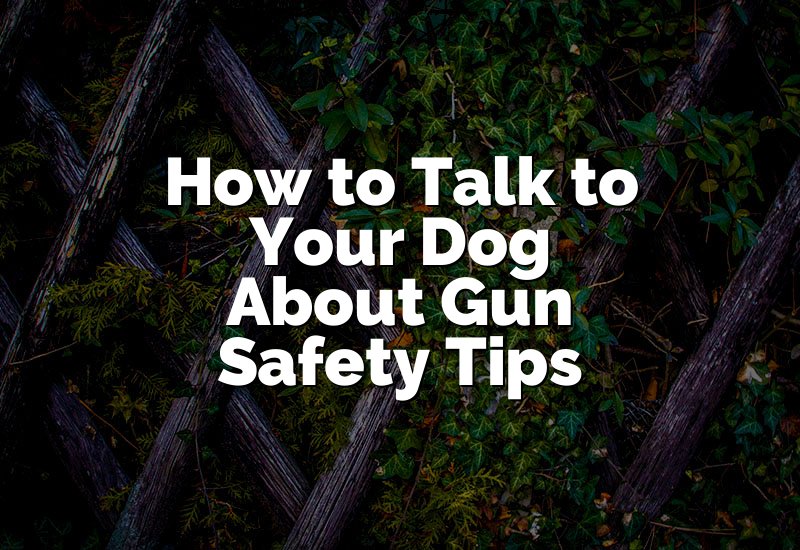 How to Talk to Your Dog About Gun Safety Tips