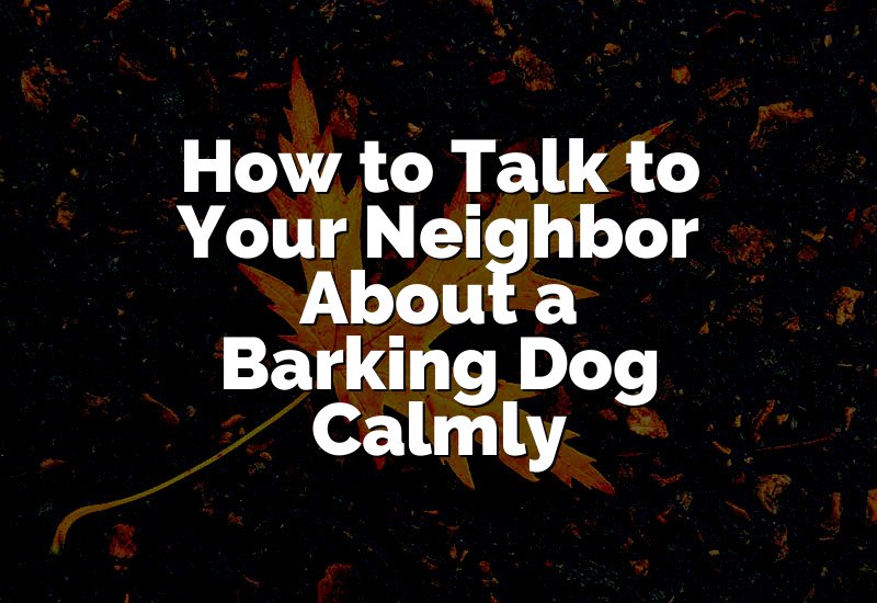 How to Talk to Your Neighbor About a Barking Dog Calmly