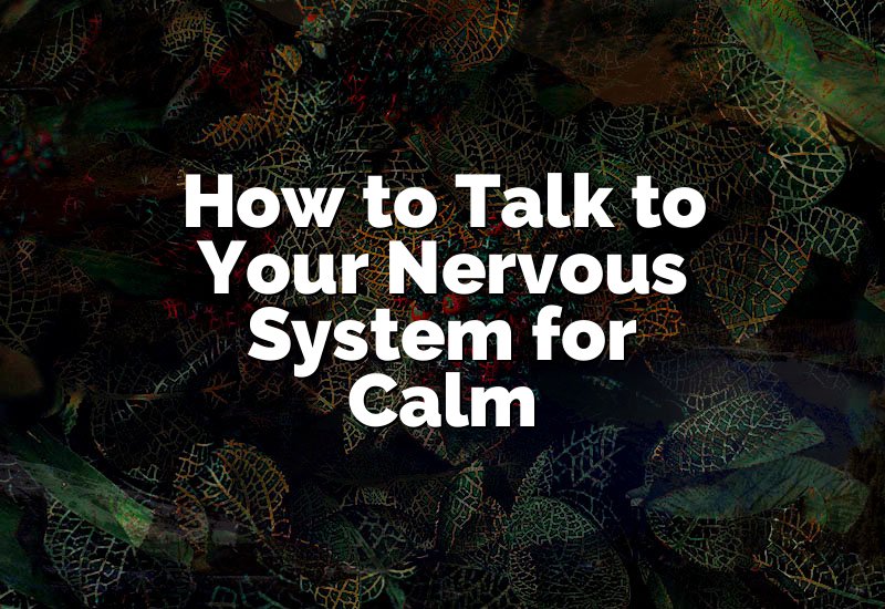 How to Talk to Your Nervous System for Calm