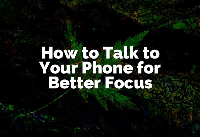 How to Talk to Your Phone for Better Focus