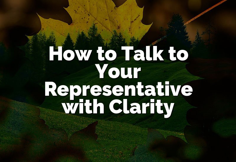 How to Talk to Your Representative with Clarity