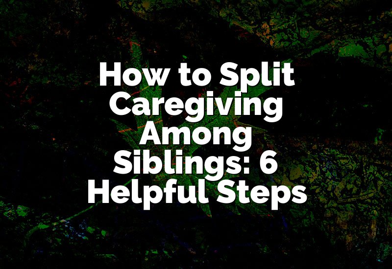 How to Split Caregiving Among Siblings: 6 Helpful Steps